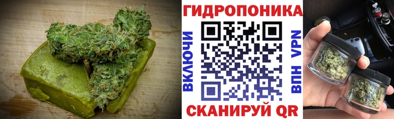Canna-Cookies марихуана  Алатырь 