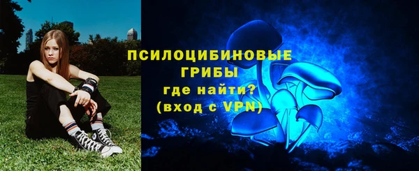 тгк Абаза