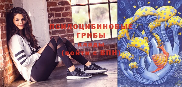 тгк Абаза